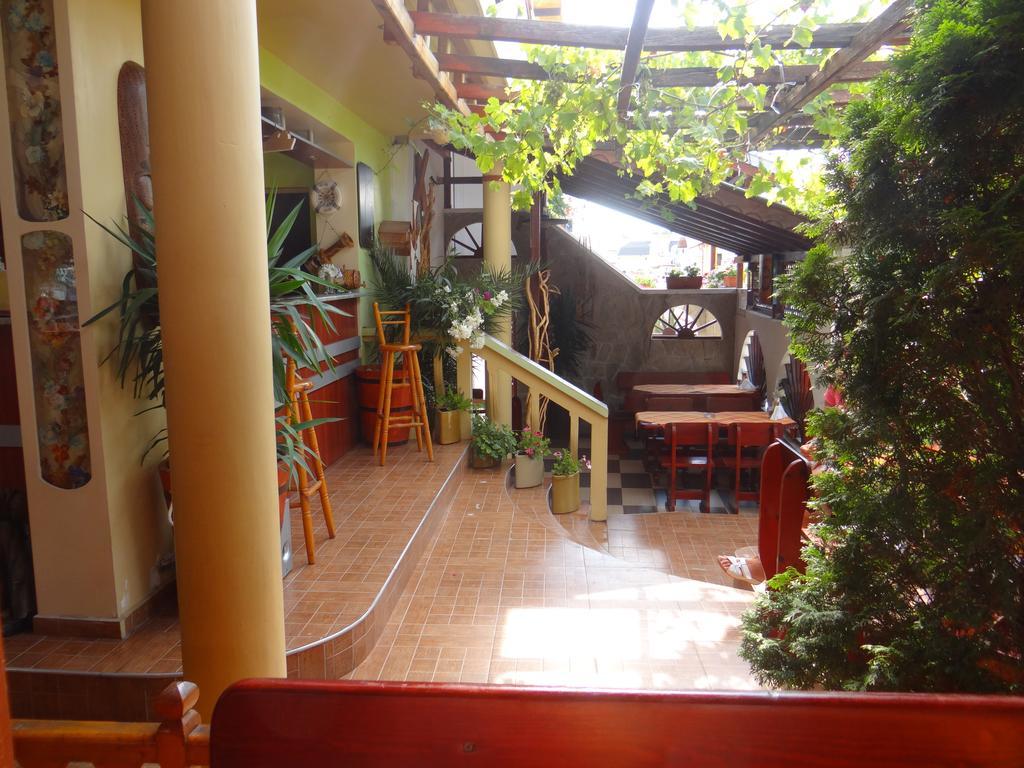 קיטן Guest House Rosa מראה חיצוני תמונה