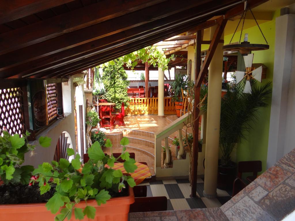 קיטן Guest House Rosa מראה חיצוני תמונה